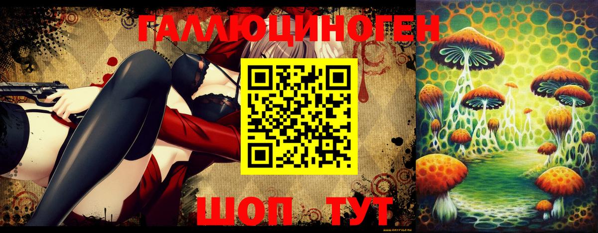 продажа наркотиков  Вход с VPN  Избербаш  Галлюциногенные грибы Psilocybine cubensis 